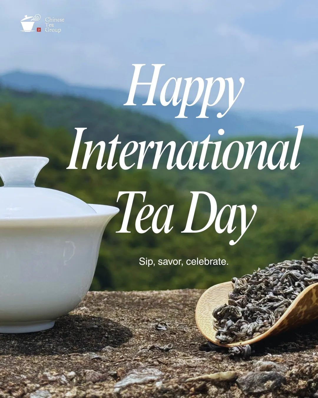 celebrate international tea day with a sunlit tea garden and fresh gaiwan tea leaves.
