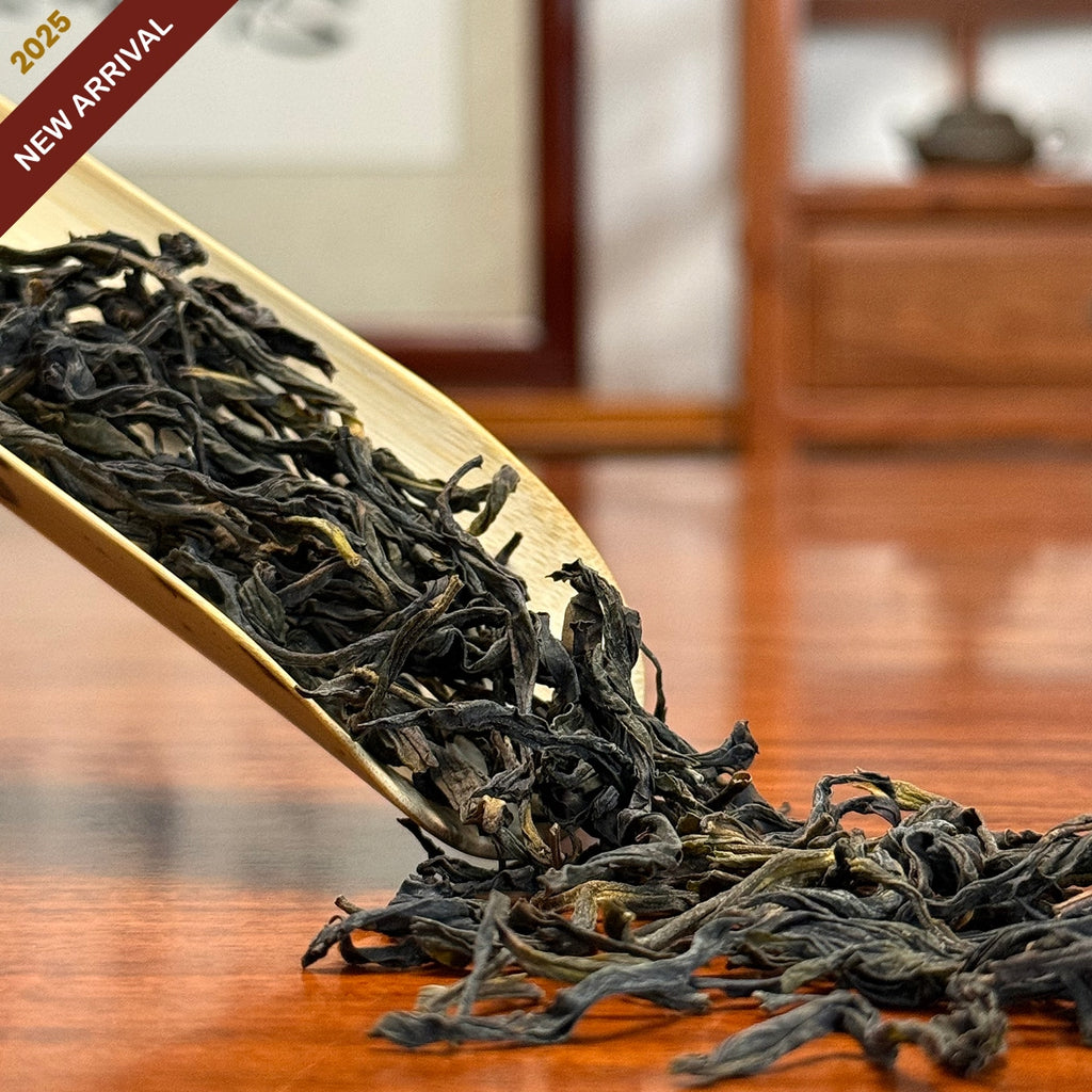 Oolong Tea Mi Lan Xiang Dan Cong (Honey Orchid Aroma) dry leaves shot at original Chinese tea origin