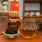 Brewing Phoenix Oolong Tea Gongfu Tea Sachets in a traditional Chinese tea house, displaying rich amber tea liquor