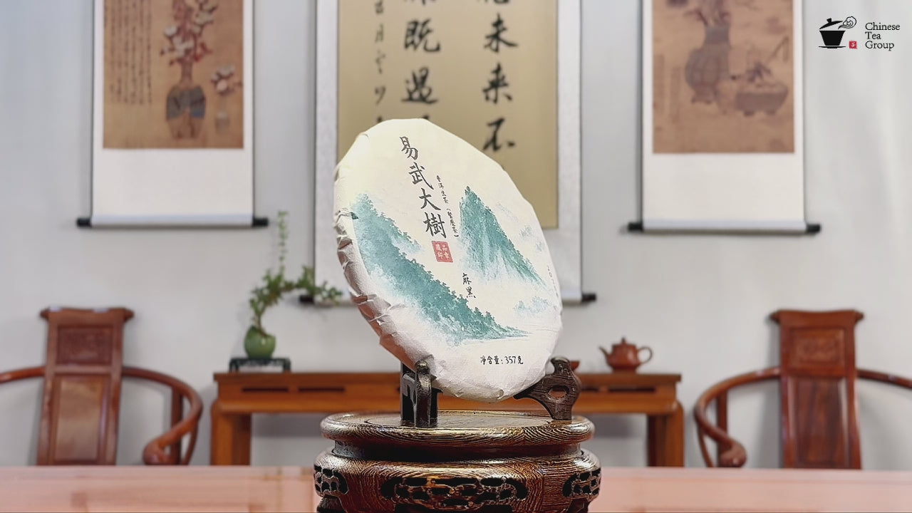 2020 Yiwu Mahei Raw Pu-erh Tea Cake product presentation at Chinese Tea Group tea house