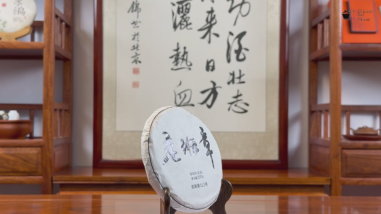 2023 Single Tree Lao Ban Zhang raw Pu-erh tea cake video by Chinese Tea Group