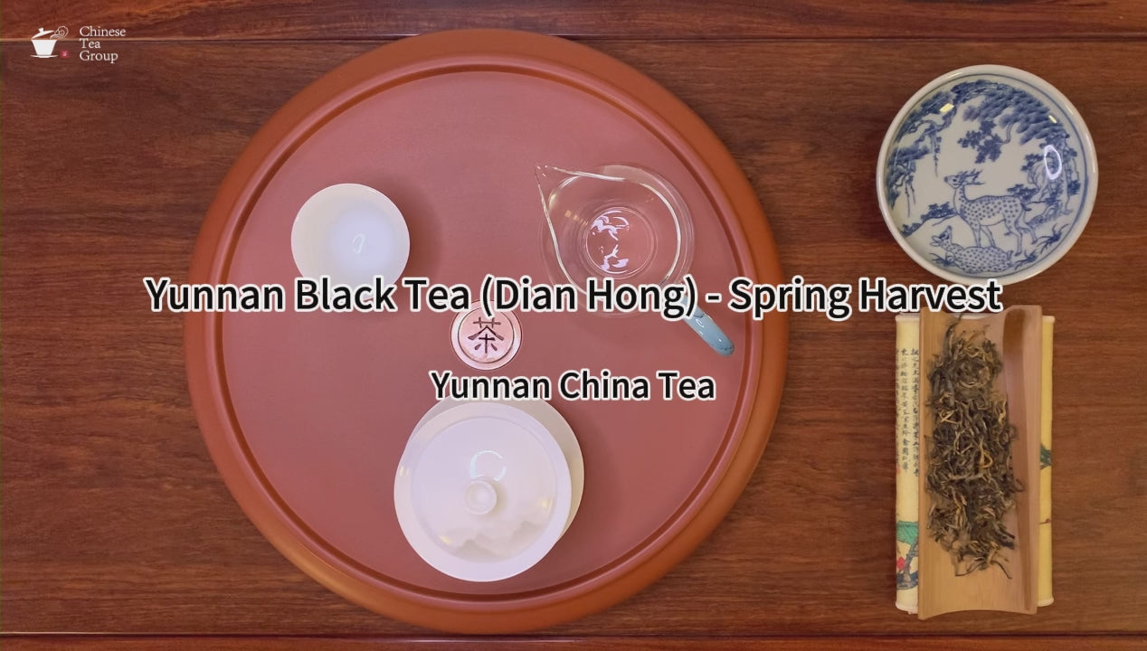 Gongfu brewing of Spring Harvest Yunnan Black Tea (Dian Hong)