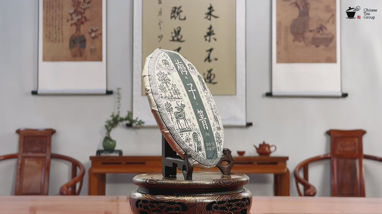 360° view of 2024 Mei Zi Qing Raw Pu-erh Tea Cake from Yunnan high-altitude micro-origin