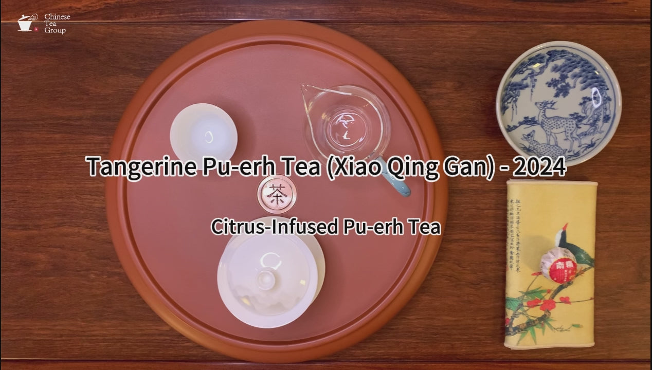 Tianma Tangerine Pu-erh Tea – 2023 leaves brewed using Gongfu tea method