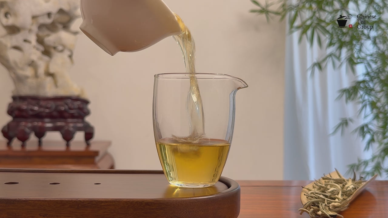 Bai Hao Yin Zhen White Tea (Silver Needle) real tea video showing authentic brewed white tea liquor