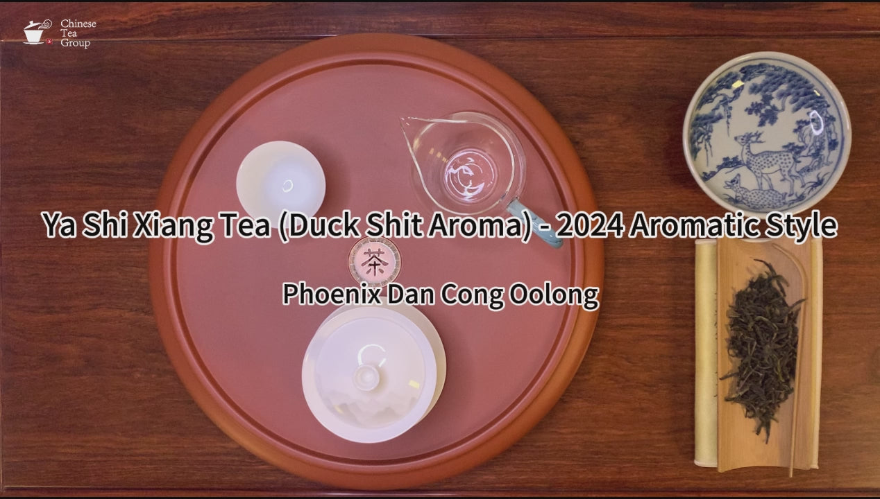 Gongfu brewing of Ya Shi Xiang Dan Cong Oolong Tea (Duck Shit Aroma) - 2024 Aromatic Style