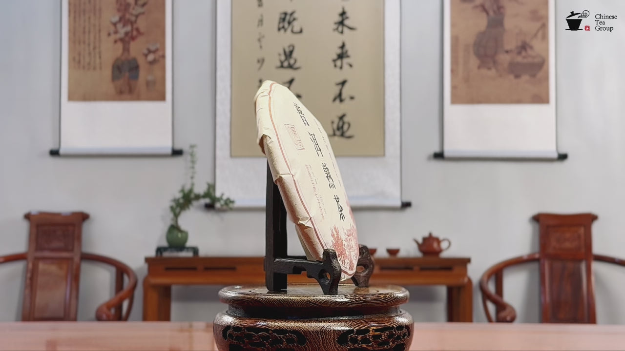 2023 Jingmai Mountain Ancient Tree Ripe Pu-erh Tea Cake (Shou) product video by Chinese Tea Group