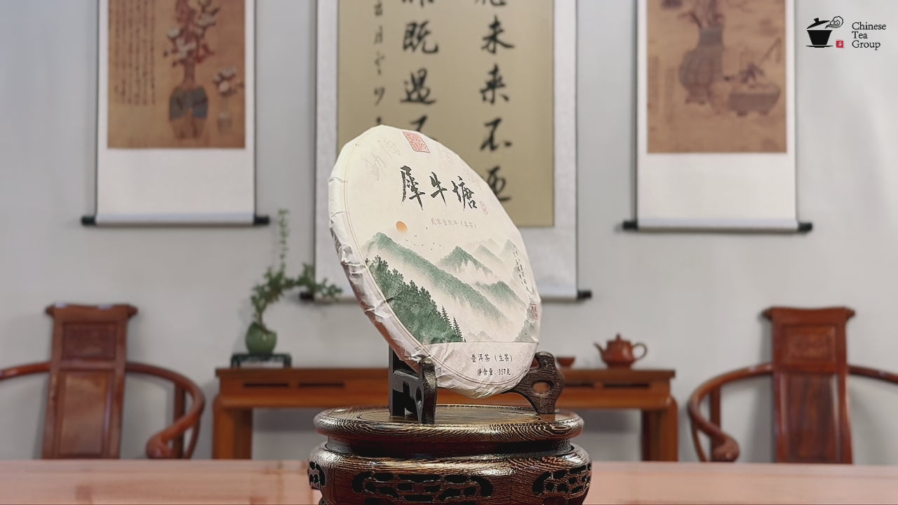 2019 Xi Niu Tang Ancient Tree Raw Pu-erh Tea Cake video by Chinese Tea Group tea house