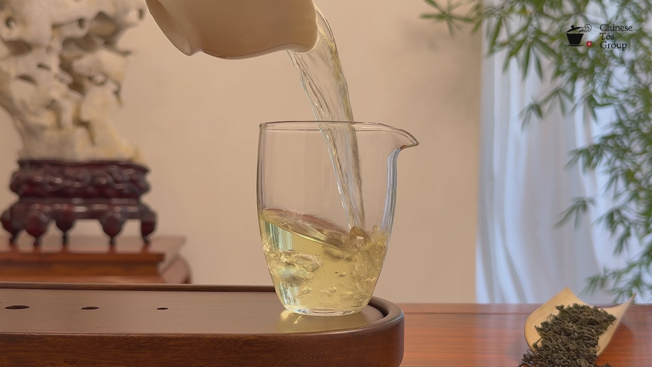 Bi Luo Chun Green Tea (Green Snail Spring) real tea video showing authentic brewed tea liquor