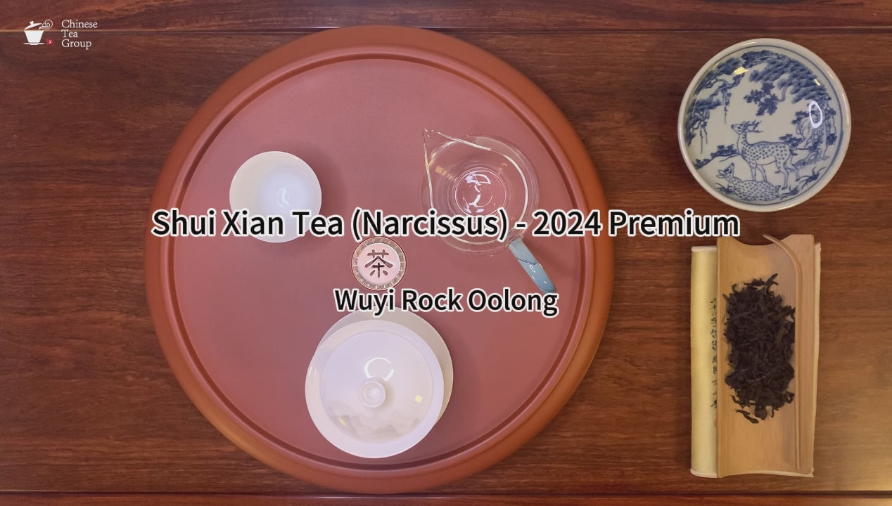 Gongfu brewing of 2024 Premium Fujian Shui Xian Wuyi Rock Oolong Tea (Narcissus)