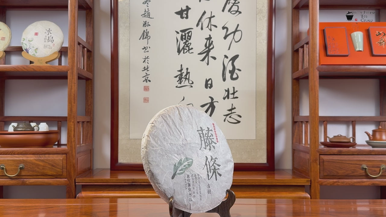 2019 Teng Tiao ancient tree raw Pu-erh tea cake video by Chinese Tea Group