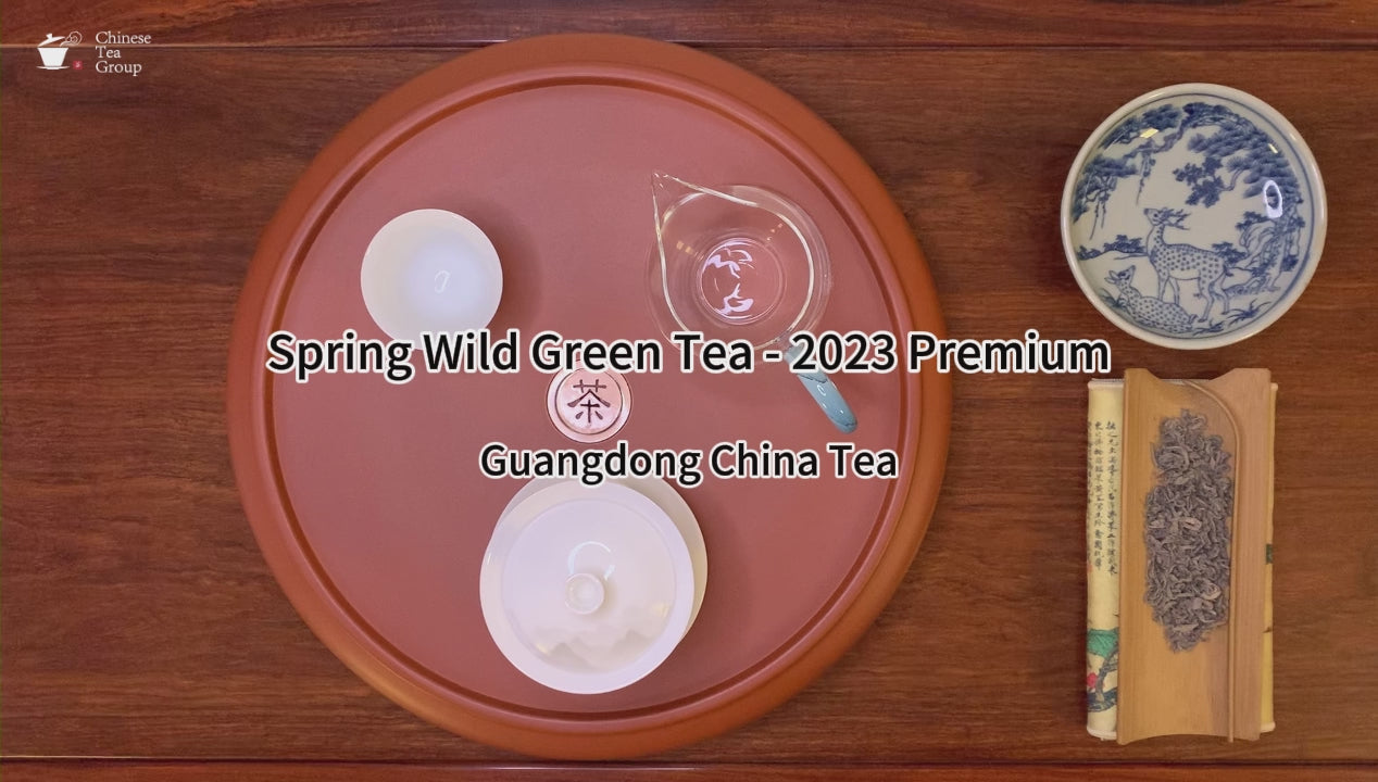 Gongfu brewing of Spring Wild Green Tea - 2023 Premium