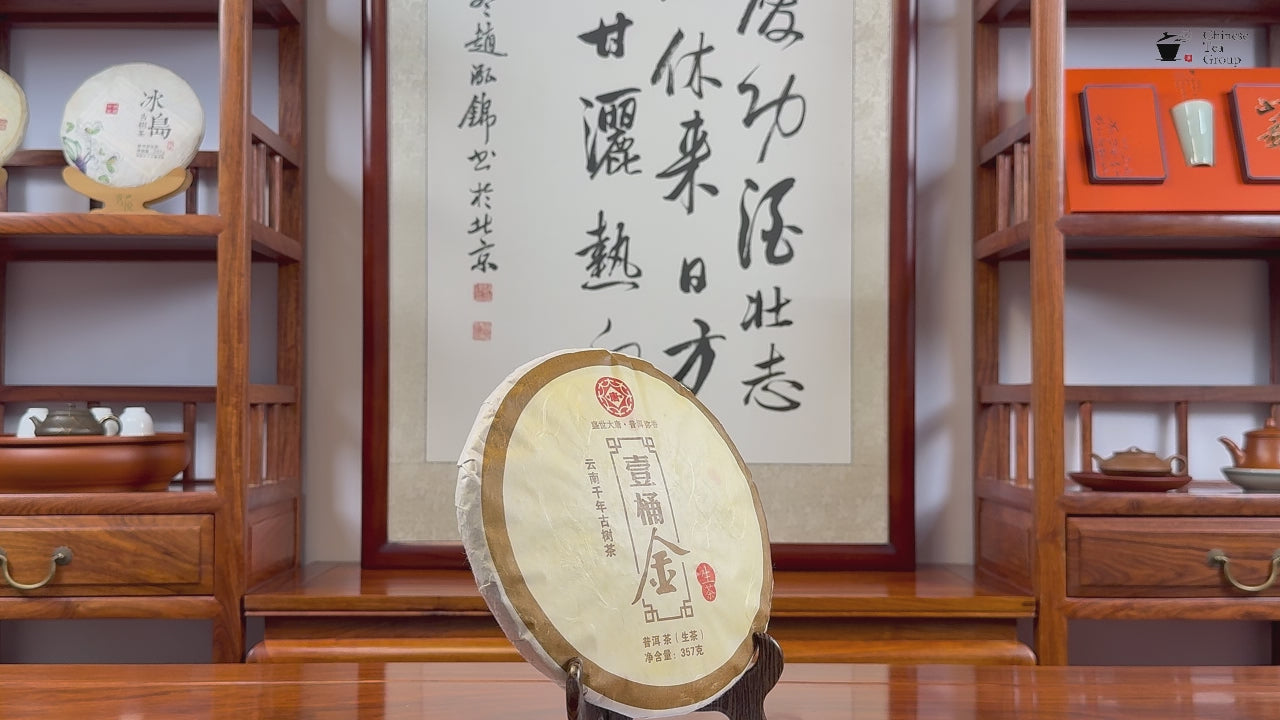 2014 Yunnan old tree raw Pu'er tea cake video by Chinese Tea Group