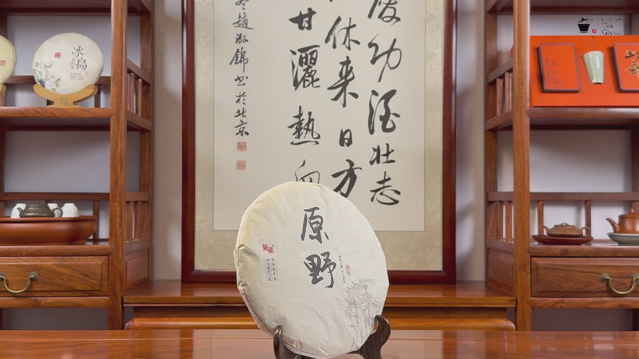 2019 Wilds raw Pu-erh tea cake video by Chinese Tea Group