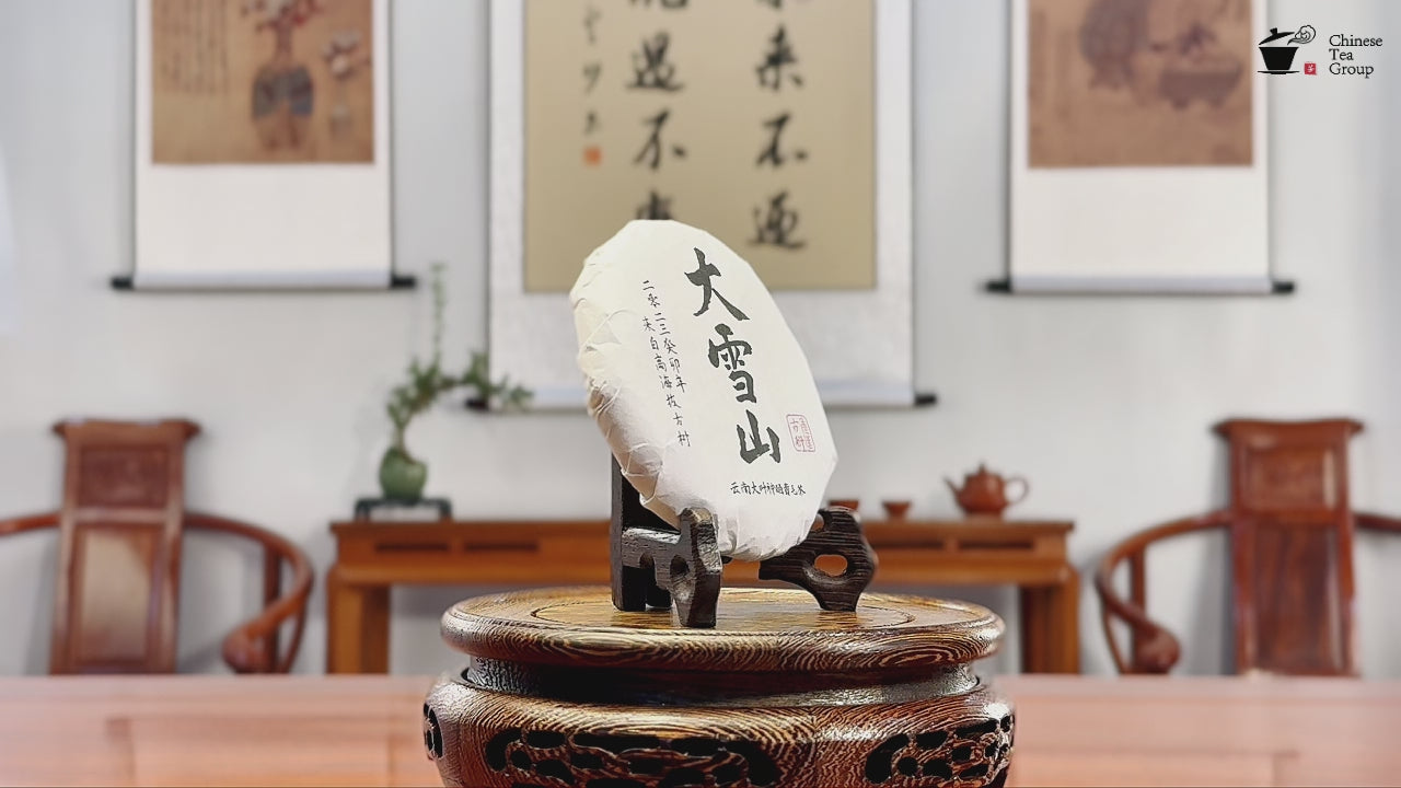 2023 Da Xue Shan Ancient Tree Raw Pu-erh Tea Cake video by Chinese Tea Group tea house