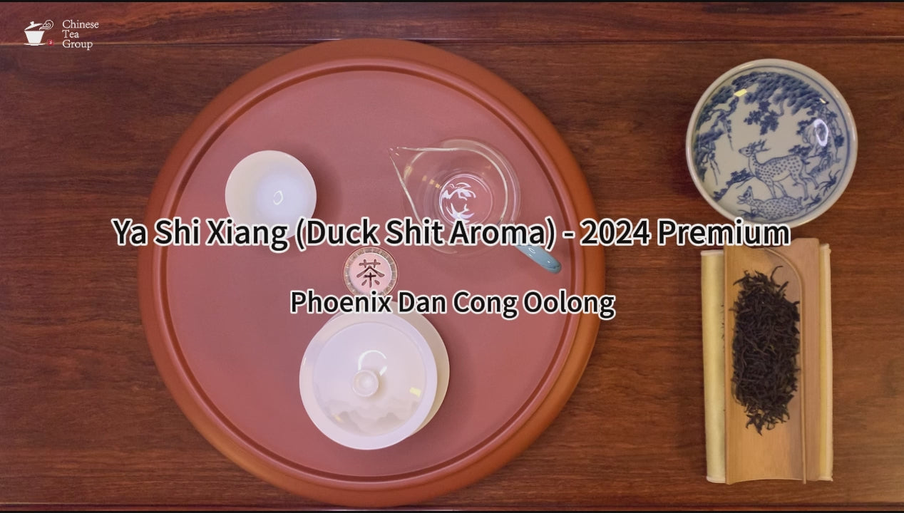 Gongfu brewing of Ya Shi Xiang Dan Cong Oolong Tea (Duck Shit Aroma) - 2024 Premium