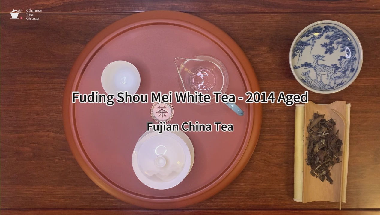 Gongfu brewing of 2014 Aged Fuding Shou Mei White Tea