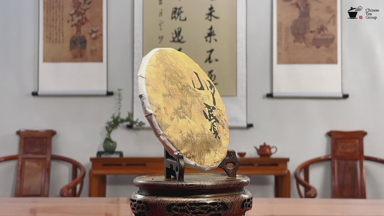 2024 Xiao Hu Sai Raw Pu-erh Tea Cake product showcase featuring its Yunnan high-altitude origin and Stone Soil character