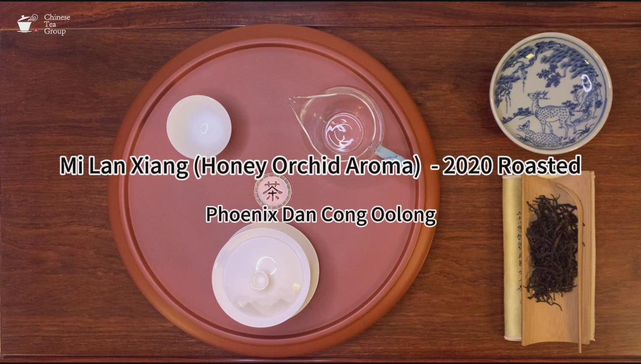 Gongfu brewing of Mi Lan Xiang Dan Cong Oolong Tea (Honey Orchid Aroma) - 2020 Roasted