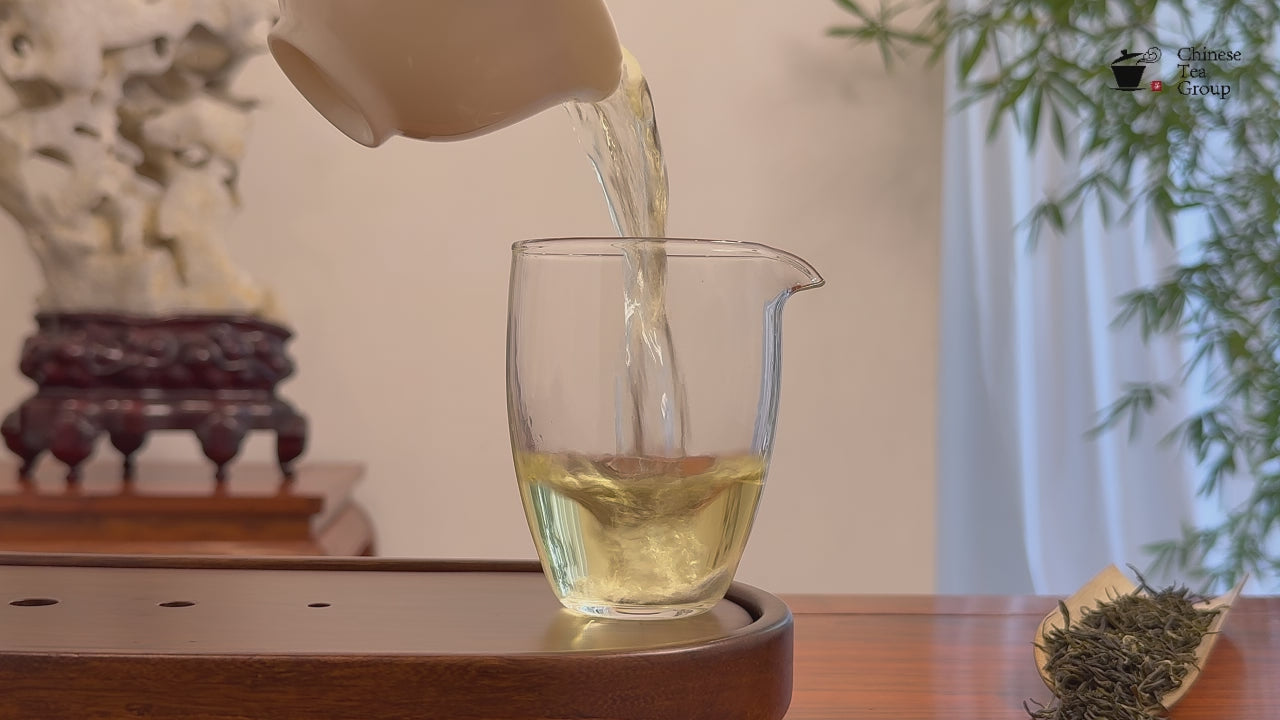 Xin Yang Mao Jian Green Tea (Green Tip Tea) real tea video showing authentic brewed tea liquor