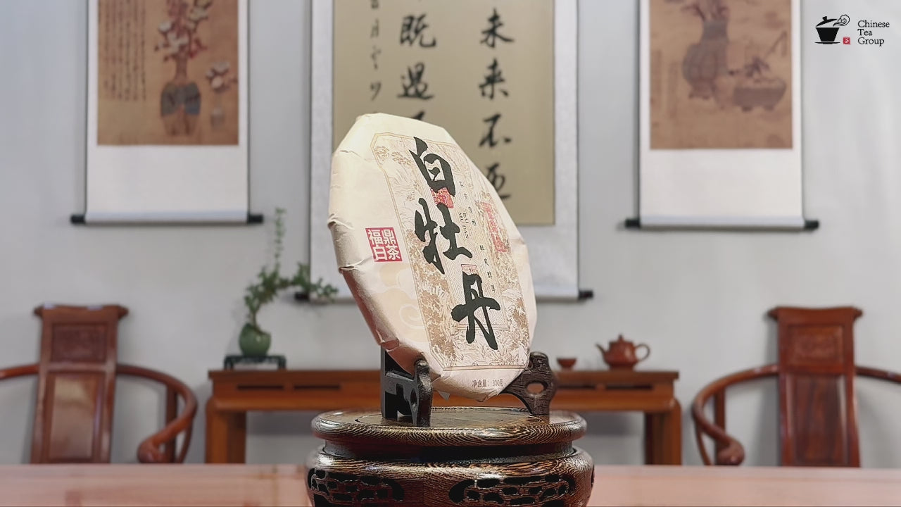 Video showcasing the rich tea liquor of White Tea Cake, 2025 Bai Mu Dan