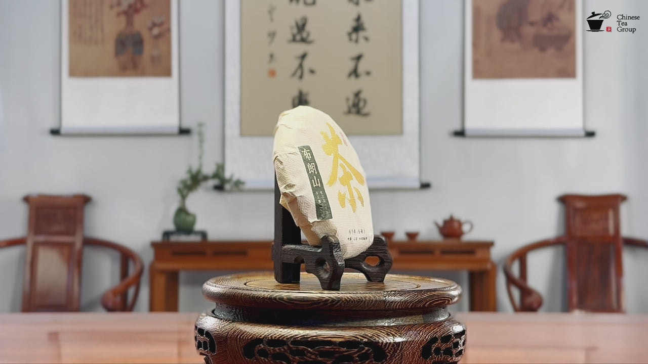 2026 Bulang Mountain Raw Pu-erh Tea Cake product video by Chinese Tea Group