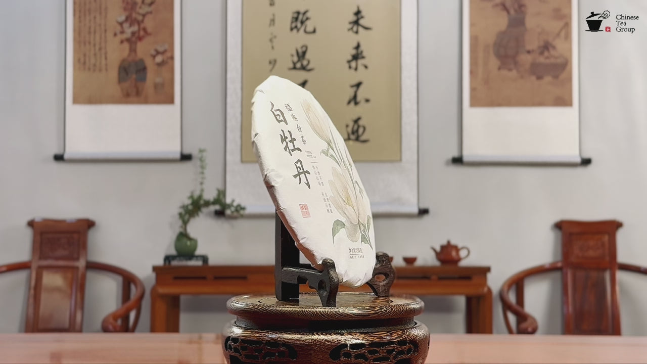 2021 Fuding Bai Mu Dan White Tea Cake (White Peony) product video by Chinese Tea Group