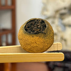 Close-up of Tianma Tangerine Pu-erh Tea – 2023 leaves