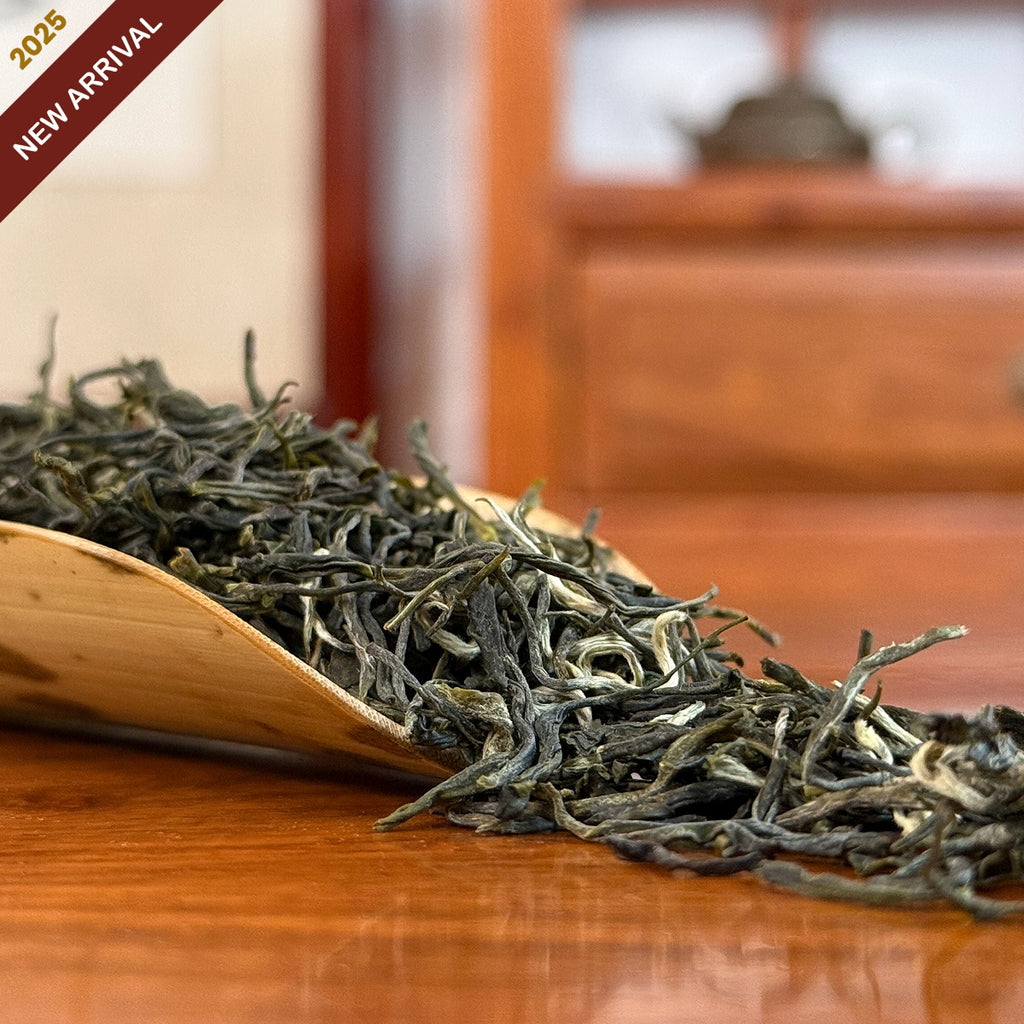 Xin Yang Mao Jian Green Tea (Green Tip Tea) dry leaves close-up in Chinese Tea Group tea house