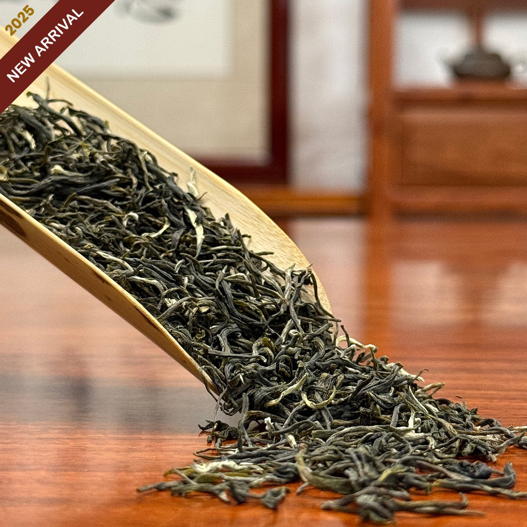 Xin Yang Mao Jian Green Tea (Green Tip Tea) dry leaves from authentic Chinese green tea origin